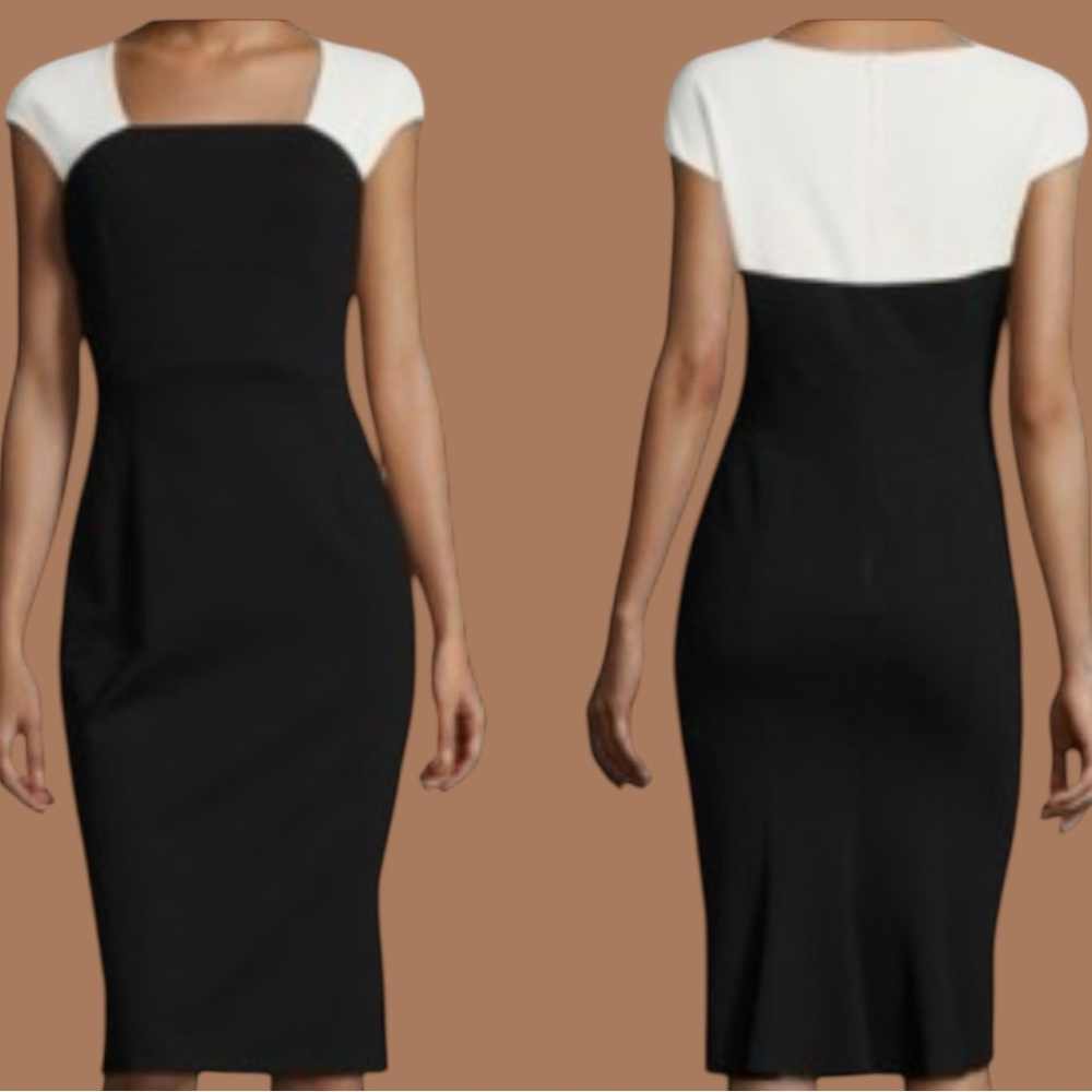 Escada Dwalana Sheath Dress  sz 44